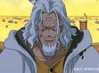 海贼王的右手西尔巴兹雷利，被称为最强副手，能力力压大将军