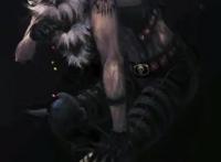 四个副皇海贼，第二位赏金和船长齐平，他一脚干翻大妈海贼团