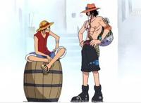 波特卡斯·D·艾斯