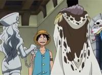 海贼王中中过美人计的几个人，香吉士那纯粹就是自投罗网