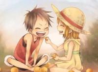 海贼王：虽然热血但有人的地方就有爱情，众说纷纭的伴侣你站谁？