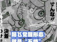 路飞是尼卡果实，其实属于上一任世界统治者，蒙奇·D·尼卡！