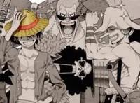 海贼王-D之一族大盘点