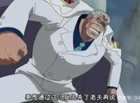 海贼王-D之一族大盘点