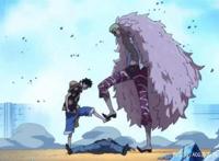 蒙奇D杰瑞与多弗朗汤姆？卡普不要再P图了