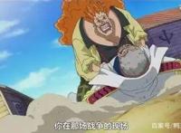 海贼王：6大隐藏称号，两个摩擦过卡普