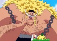 海贼王：海军决意团灭七武海全员，克比少将带兵抓捕女帝汉库克！