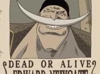 海贼王：白胡子的“诞生”和“战死”与他有关？人物蓝图是他的原型