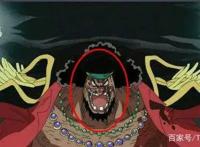 震撼脑洞，关于黑胡子身上秘密的特别猜测