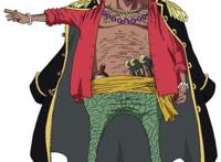 黑胡子海贼团(五皇之一)