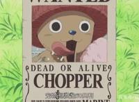 海贼王：官方公布萨博的悬赏金，意外的低，少路飞三倍