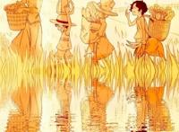 海贼王收藏必备壁纸：萨博化身剑豪，青雉直面黑暗