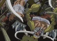 海贼王：凯多碰上藤虎和战国都会让三分，为何三灾却看不起他们