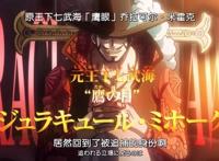 海贼王藤虎身上有惊喜，头部受伤与萨博有关，自曝光七武海替代品