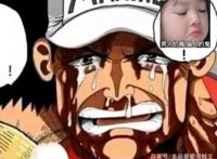 海贼王：赤犬童年遭遇曝光，难怪他做事不留情面，网友：泪崩！