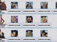 海贼王阵营船员公示：两大死敌人员上的较量