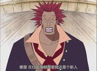 海贼王：被高估的四皇干部，一个红发团新星，白胡子“看不起”