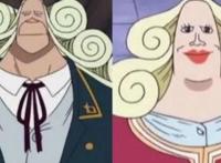 海贼王中奇怪的夫妻组合，路飞的母亲尾田估计是不会画了