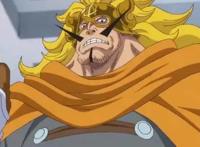 海贼王：五位智力超群的人才，一位万人喜欢，一位接近死亡！