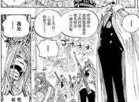 海贼王中身份最神秘的一个海贼，为了救她赤犬连面子都不要了