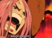 海贼王：马尔科未必能继承白胡子海贼团，别忘了还有这个女孩