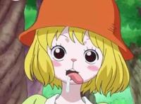 海贼王：实力彪悍的5大萝莉，图1是兔子，图5差点成黑胡子老婆