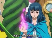 海贼王，能操纵时间才是真正的强者，5颗能影响时间的果实