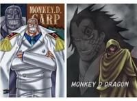 海贼王八大都市传说！波妮是路飞母亲，索隆断臂悲喜结局！