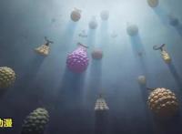 《海贼王》中出现过的恶魔果实，你们还记得多少？