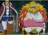 海贼王：罗为什么不给猫狗修复断肢残腿呢，难道真是内奸吗