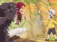 航海王：罗大仇已报，还跟着路飞玩，他会成为动漫里另一个白胡子