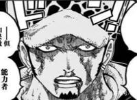 海贼王：尾田说罗的形象花是“昙花”，是否在暗示他的结局