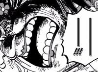 海贼王：罗的名字原来也是伏笔，大妈败在他手上是早就设计好的