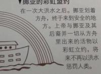 海贼王未来五年格局：分裂大海的战役-罗的讳名引来的黄昏与黎明