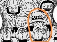 从特拉法尔加·罗谈起，闲谈尾田老师的人物构造法则