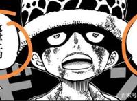 从特拉法尔加·罗谈起，闲谈尾田老师的人物构造法则