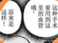 从特拉法尔加·罗谈起，闲谈尾田老师的人物构造法则