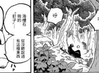 海贼王：特拉法尔加·罗的隐藏实力到底有多强