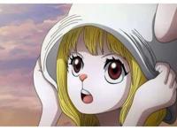 虽然甚平上船担任了舵手，但实际上草帽团还需要这些职位