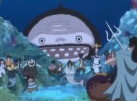 海贼王：甚平去哪了？草帽海贼团唯一一位被完全忽略的小透明