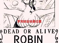 海贼王1058话：弗兰奇成为了大冤种，罗宾9亿悬赏锁定将星位置？