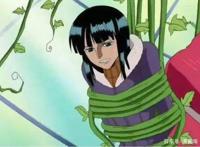 海贼王：罗宾黑粉所有的努力，不如尾田一张图有效