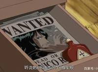 罗宾8岁击沉了6艘军舰？世界政府对罗宾造成了多大的伤害？