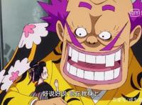 海贼王：罗宾美人计成功