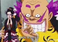 海贼王：罗宾美人计成功