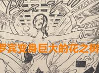 海贼王1021话：罗宾秒变翼龙打败玛丽亚，时间系果实能力者卡里布