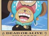 海贼王：罗宾酱人设崩塌！盘点海贼王剧中其它一些毁三观的剧情！