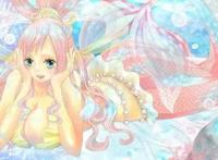 海贼王：三个谎言被揭穿！白星的未婚夫，罗宾的哥哥被吐槽