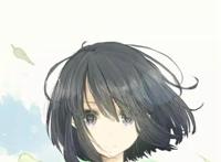 动漫图片合集火一个