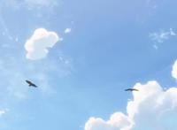 新海诚动漫精美图片（15）